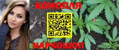 индика Будённовск