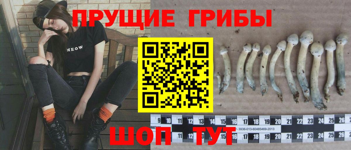 Псилоцибиновые грибы Psilocybine cubensis  Вход с VPN  Тамбов 